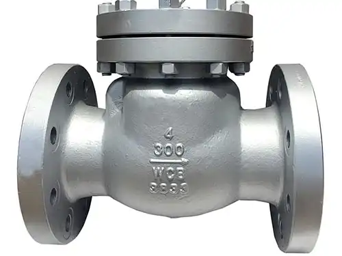 Cast Steel Check Valves - Its Basic Features and Uses